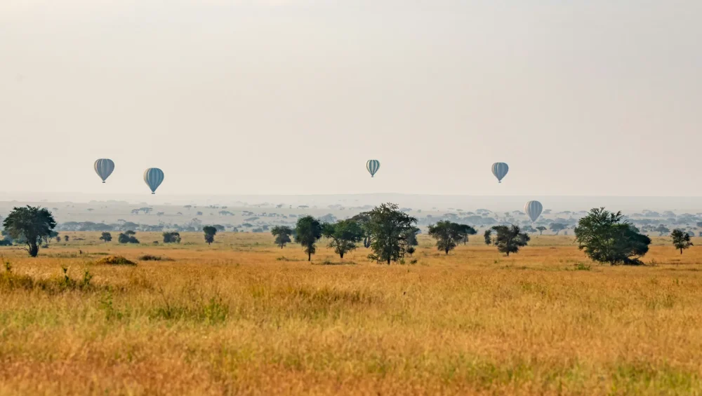 tanzania hot air balloon