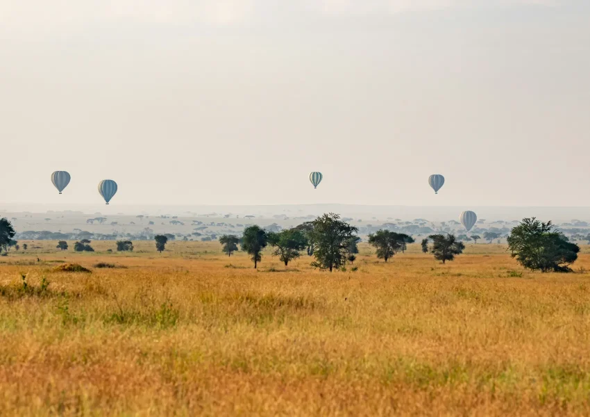 tanzania hot air balloon