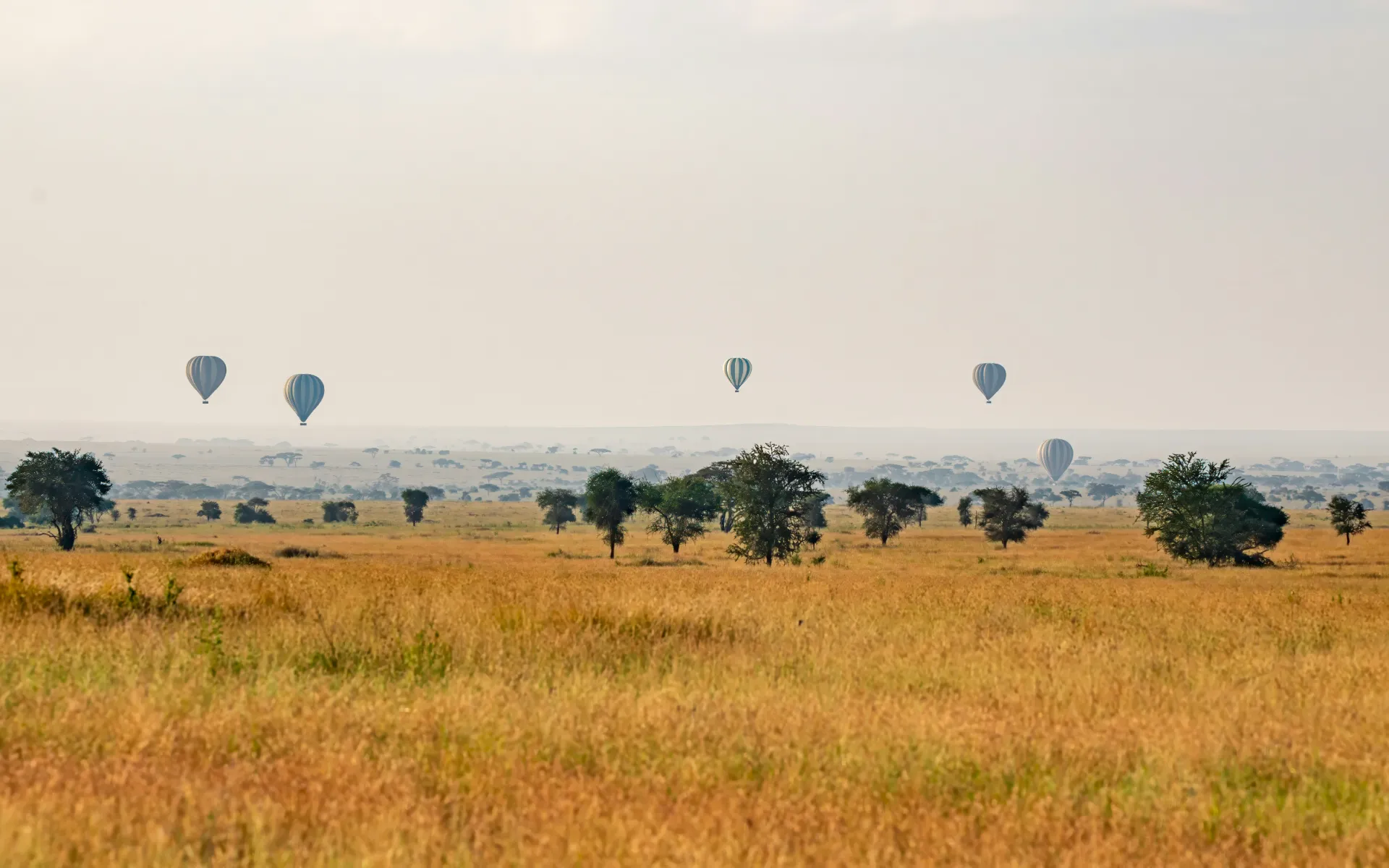 tanzania hot air balloon